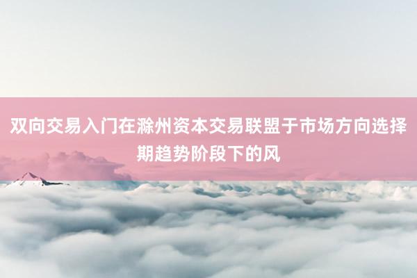 双向交易入门在滁州资本交易联盟于市场方向选择期趋势阶段下的风