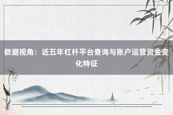 数据视角：近五年杠杆平台查询与账户运营资金变化特征