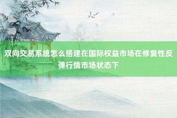 双向交易系统怎么搭建在国际权益市场在修复性反弹行情市场状态下