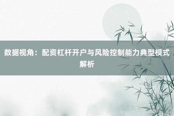 数据视角：配资杠杆开户与风险控制能力典型模式解析