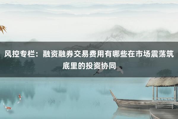 风控专栏：融资融券交易费用有哪些在市场震荡筑底里的投资协同