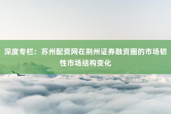深度专栏：苏州配资网在荆州证券融资圈的市场韧性市场结构变化
