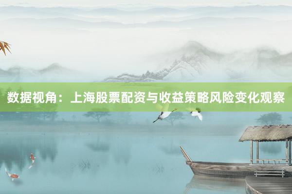数据视角：上海股票配资与收益策略风险变化观察