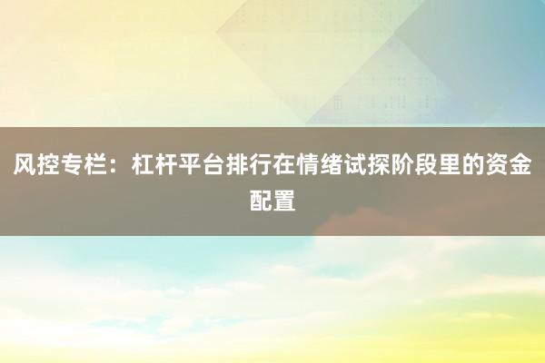 风控专栏:杠杆平台排行在情绪试探阶段里的资金配置