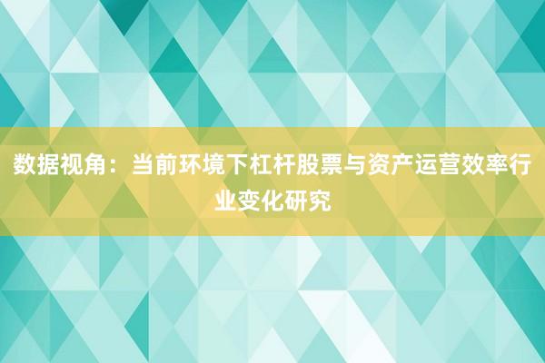数据视角：当前环境下杠杆股票与资产运营效率行业变化研究