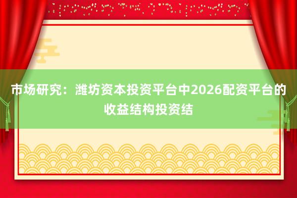 市场研究：潍坊资本投资平台中2026配资平台的收益结构投资结