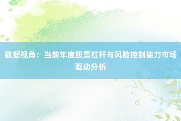 数据视角：当前年度股票杠杆与风险控制能力市场驱动分析