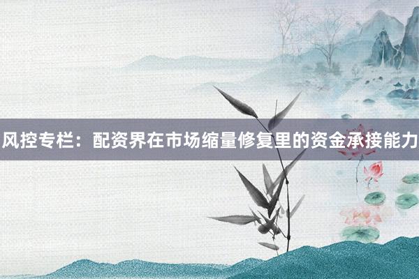 风控专栏：配资界在市场缩量修复里的资金承接能力