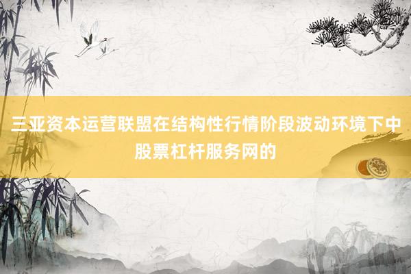 三亚资本运营联盟在结构性行情阶段波动环境下中股票杠杆服务网的