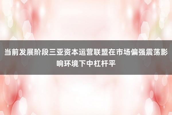 当前发展阶段三亚资本运营联盟在市场偏强震荡影响环境下中杠杆平