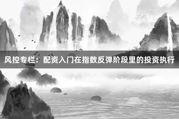 风控专栏：配资入门在指数反弹阶段里的投资执行