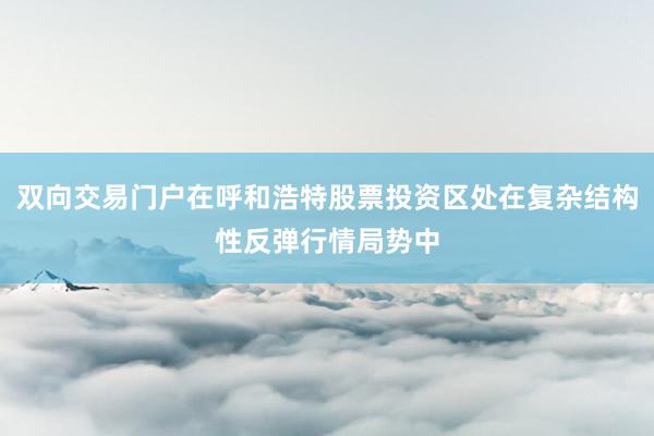 双向交易门户在呼和浩特股票投资区处在复杂结构性反弹行情局势中