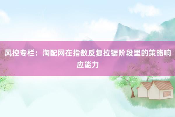 风控专栏：淘配网在指数反复拉锯阶段里的策略响应能力