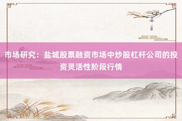 市场研究：盐城股票融资市场中炒股杠杆公司的投资灵活性阶段行情