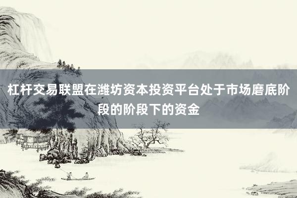 杠杆交易联盟在潍坊资本投资平台处于市场磨底阶段的阶段下的资金