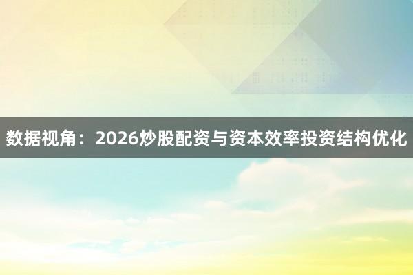 数据视角:2026炒股配资与资本效率投资结构优化
