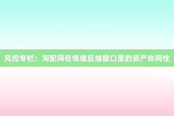 风控专栏:淘配网在情绪反抽窗口里的资产协同性