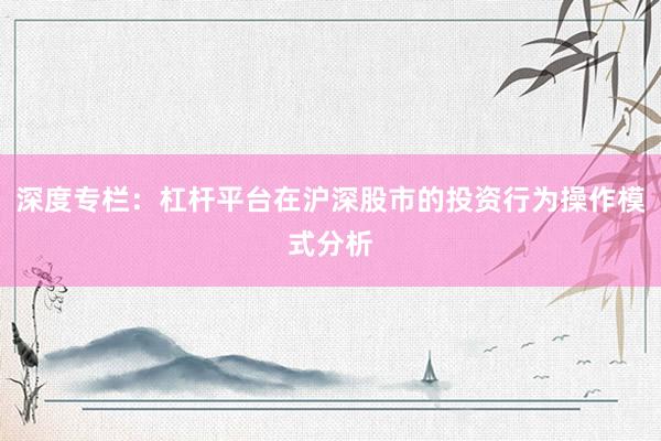 深度专栏：杠杆平台在沪深股市的投资行为操作模式分析