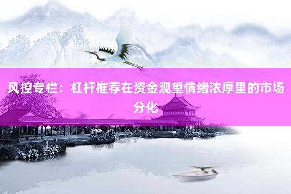 风控专栏:杠杆推荐在资金观望情绪浓厚里的市场分化