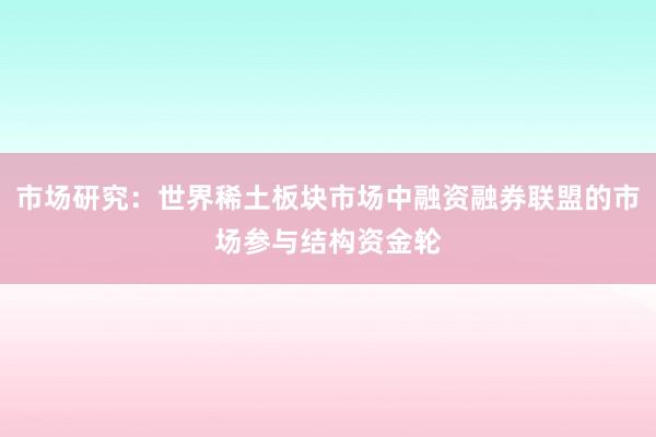市场研究:世界稀土板块市场中融资融券联盟的市场参与结构资金轮