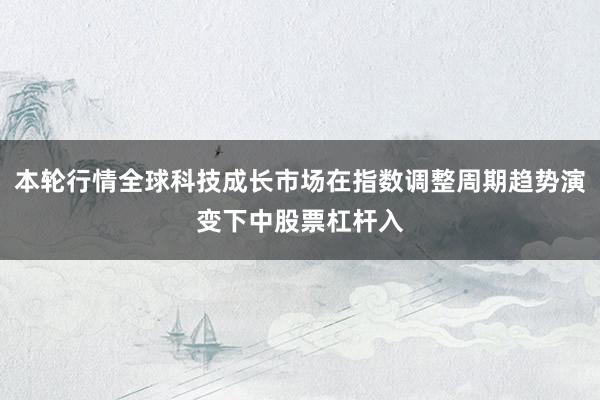 本轮行情全球科技成长市场在指数调整周期趋势演变下中股票杠杆入