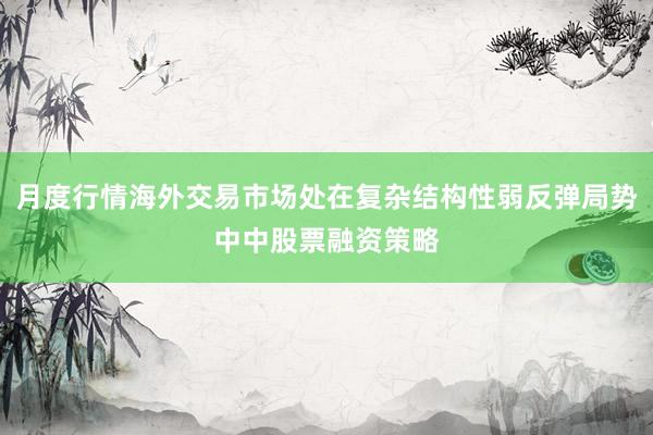 月度行情海外交易市场处在复杂结构性弱反弹局势中中股票融资策略