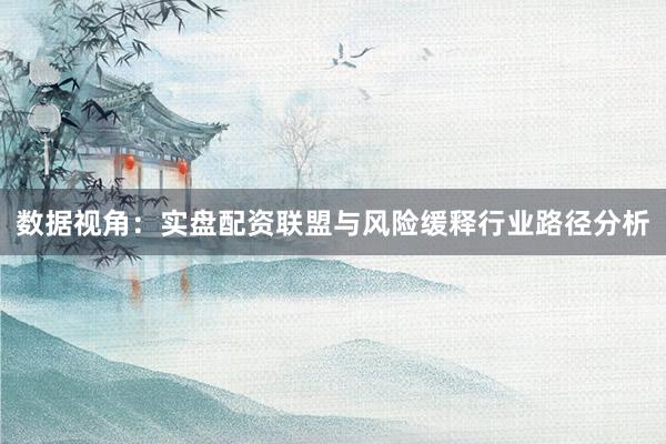 数据视角：实盘配资联盟与风险缓释行业路径分析