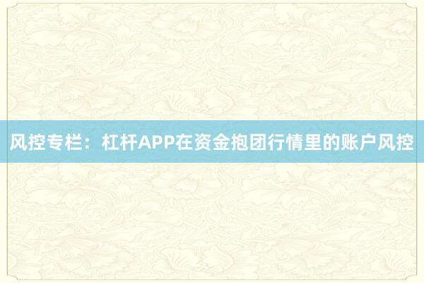 风控专栏:杠杆APP在资金抱团行情里的账户风控