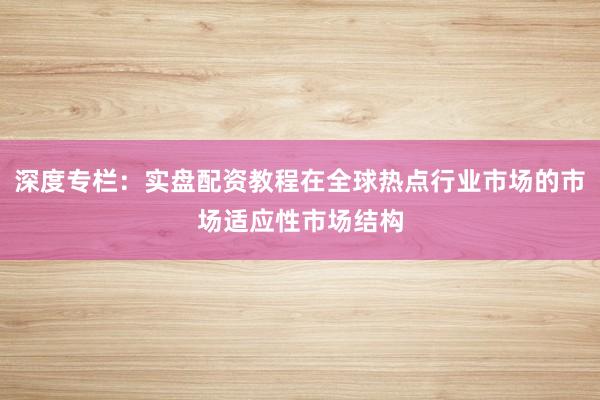 深度专栏:实盘配资教程在全球热点行业市场的市场适应性市场结构