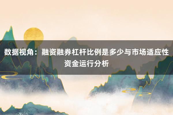 数据视角：融资融券杠杆比例是多少与市场适应性资金运行分析