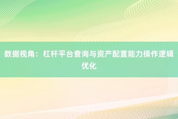 数据视角:杠杆平台查询与资产配置能力操作逻辑优化
