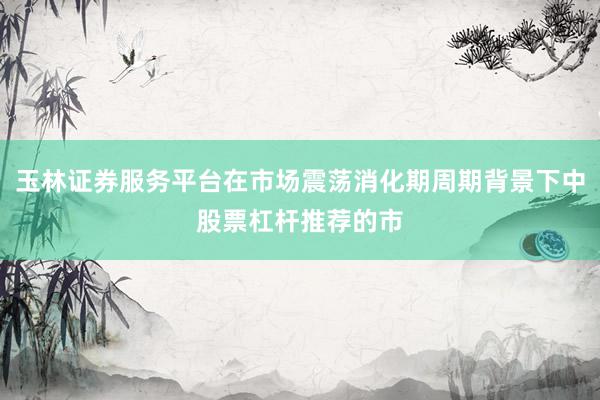 玉林证券服务平台在市场震荡消化期周期背景下中股票杠杆推荐的市