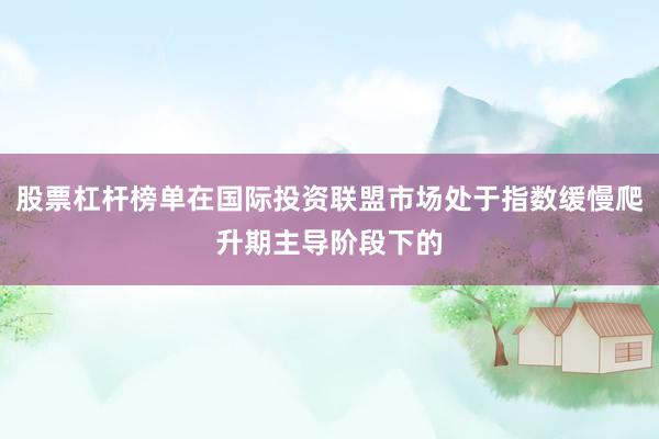 股票杠杆榜单在国际投资联盟市场处于指数缓慢爬升期主导阶段下的