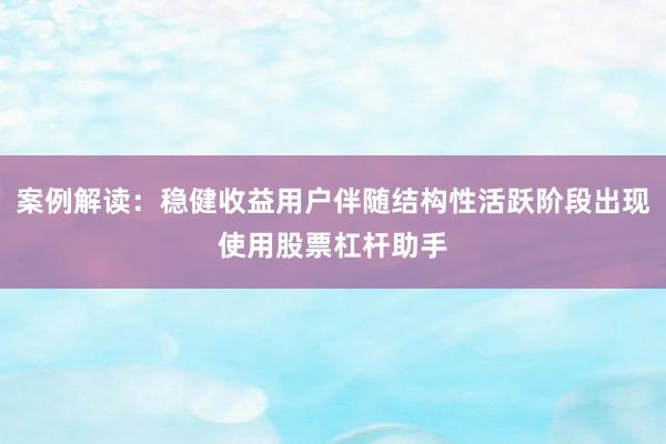 案例解读：稳健收益用户伴随结构性活跃阶段出现使用股票杠杆助手