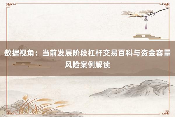 数据视角：当前发展阶段杠杆交易百科与资金容量风险案例解读