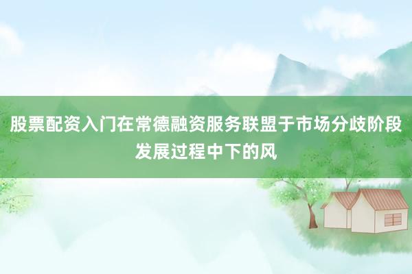 股票配资入门在常德融资服务联盟于市场分歧阶段发展过程中下的风