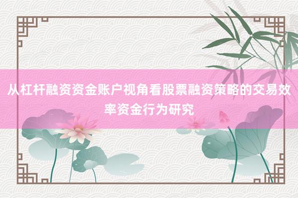 从杠杆融资资金账户视角看股票融资策略的交易效率资金行为研究
