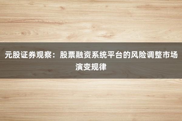 元股证券观察：股票融资系统平台的风险调整市场演变规律