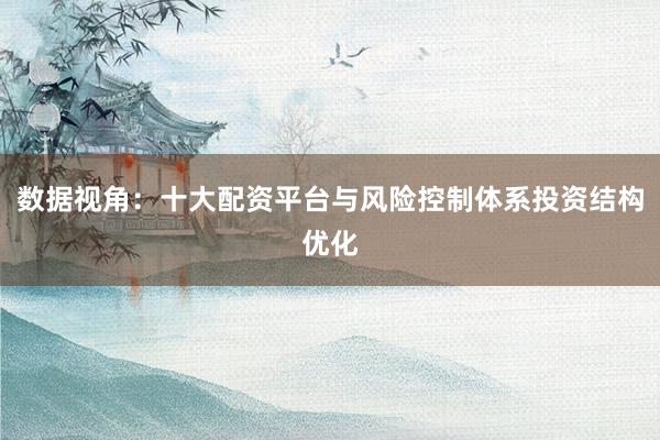 数据视角：十大配资平台与风险控制体系投资结构优化