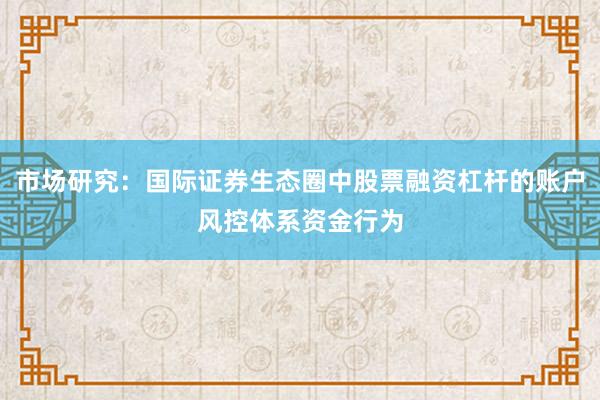 市场研究：国际证券生态圈中股票融资杠杆的账户风控体系资金行为