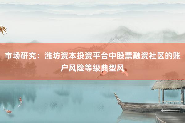 市场研究：潍坊资本投资平台中股票融资社区的账户风险等级典型风