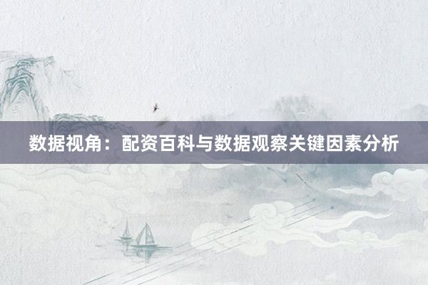 数据视角：配资百科与数据观察关键因素分析