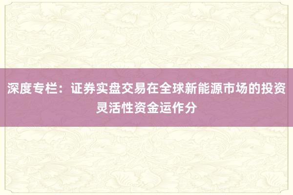 深度专栏：证券实盘交易在全球新能源市场的投资灵活性资金运作分