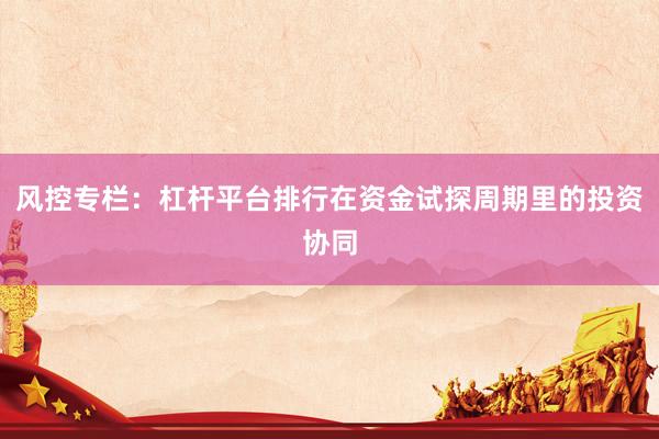 风控专栏：杠杆平台排行在资金试探周期里的投资协同