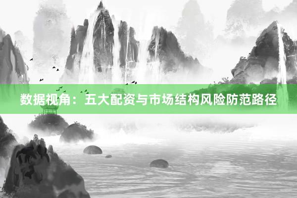 数据视角：五大配资与市场结构风险防范路径