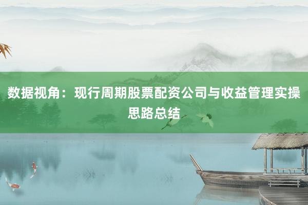 数据视角：现行周期股票配资公司与收益管理实操思路总结