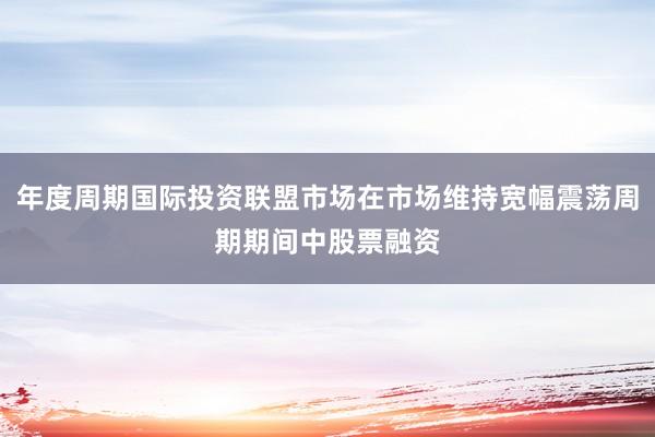 年度周期国际投资联盟市场在市场维持宽幅震荡周期期间中股票融资
