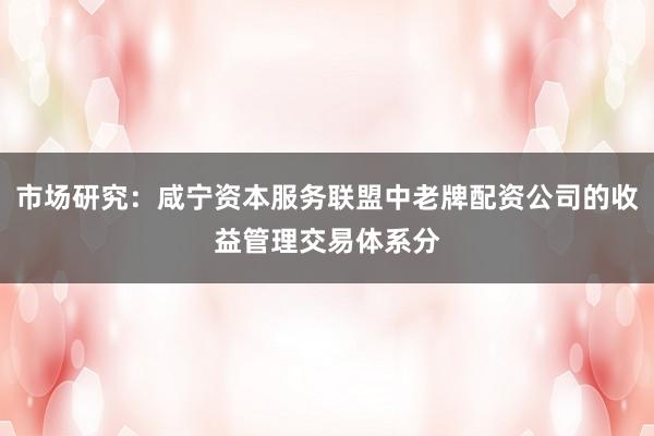 市场研究：咸宁资本服务联盟中老牌配资公司的收益管理交易体系分