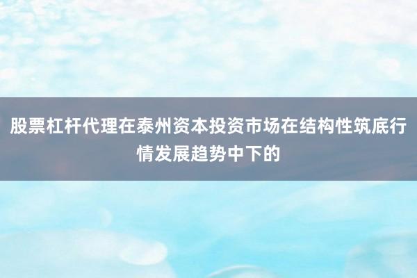 股票杠杆代理在泰州资本投资市场在结构性筑底行情发展趋势中下的