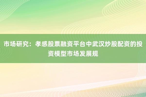市场研究：孝感股票融资平台中武汉炒股配资的投资模型市场发展规